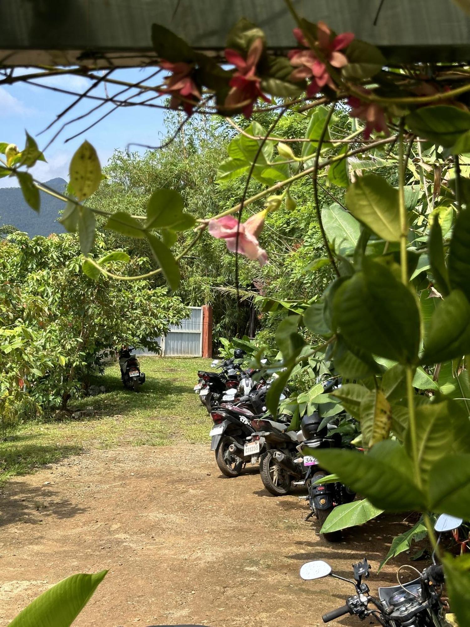 Banlaw Garden Resort Пуэрто-Принцеса Экстерьер фото